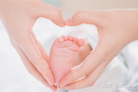 http://wulumuqi.51dzb.net/post/188.html|乌鲁木齐新闻中心